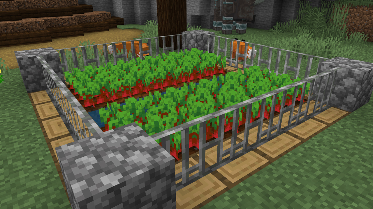 Protect the beet farm