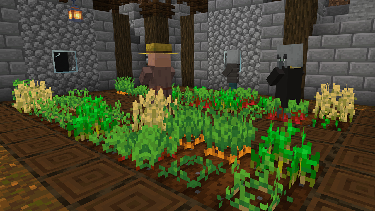 Prepare the field for farming